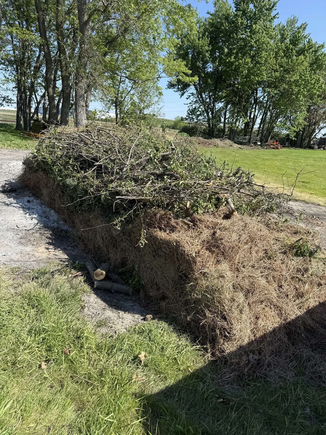 Brush and branch clearing pile after yard cleanup