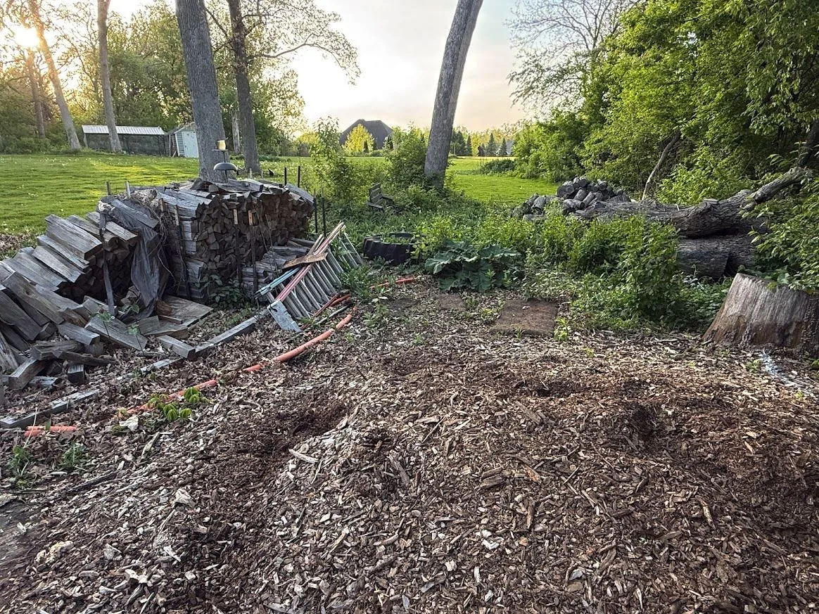 Yard area prepared for Hernandez Landscape cleanup work