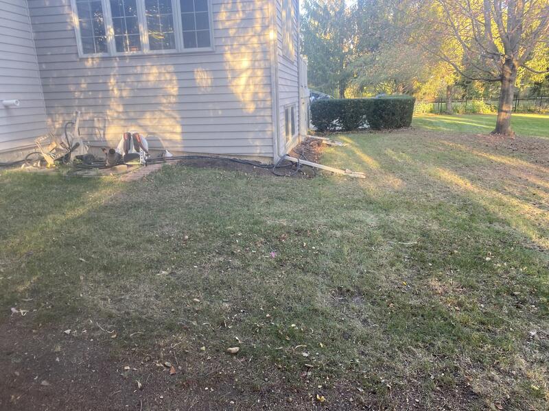 Before lawn service, overgrown and messy