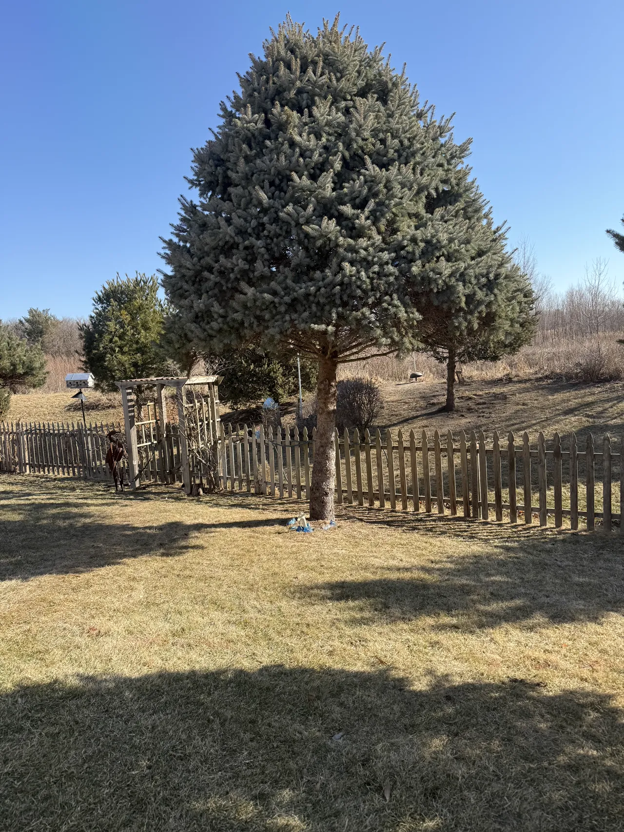 Beautiful landscaping project