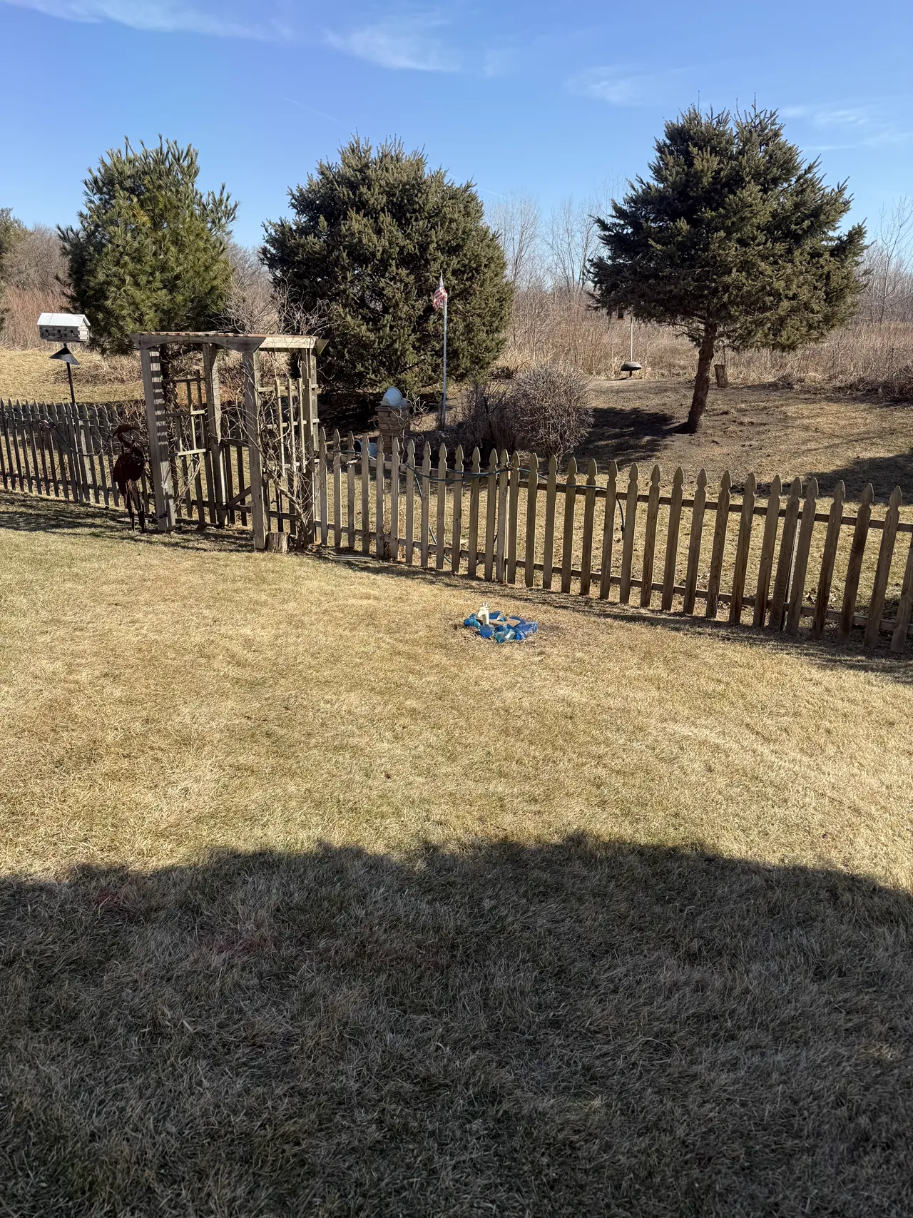 Recent landscaping work