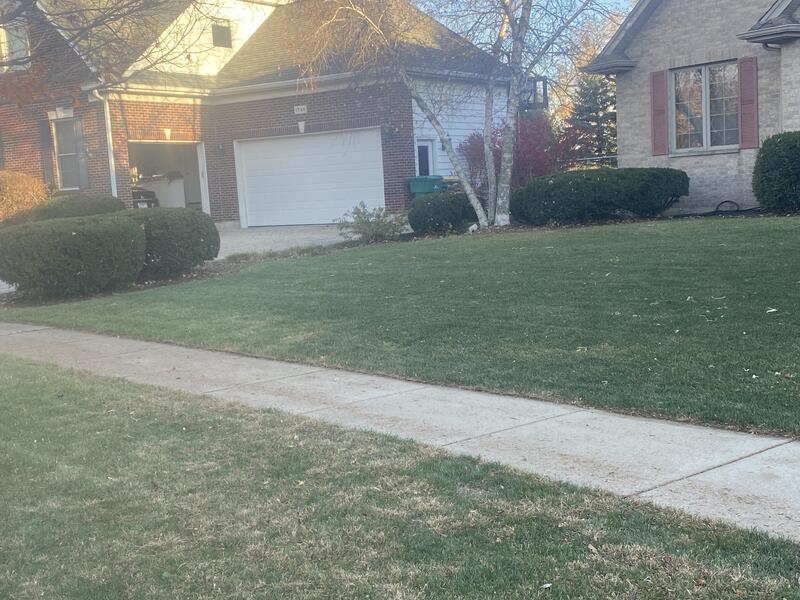 Custom garden design, neat lawn and bushes