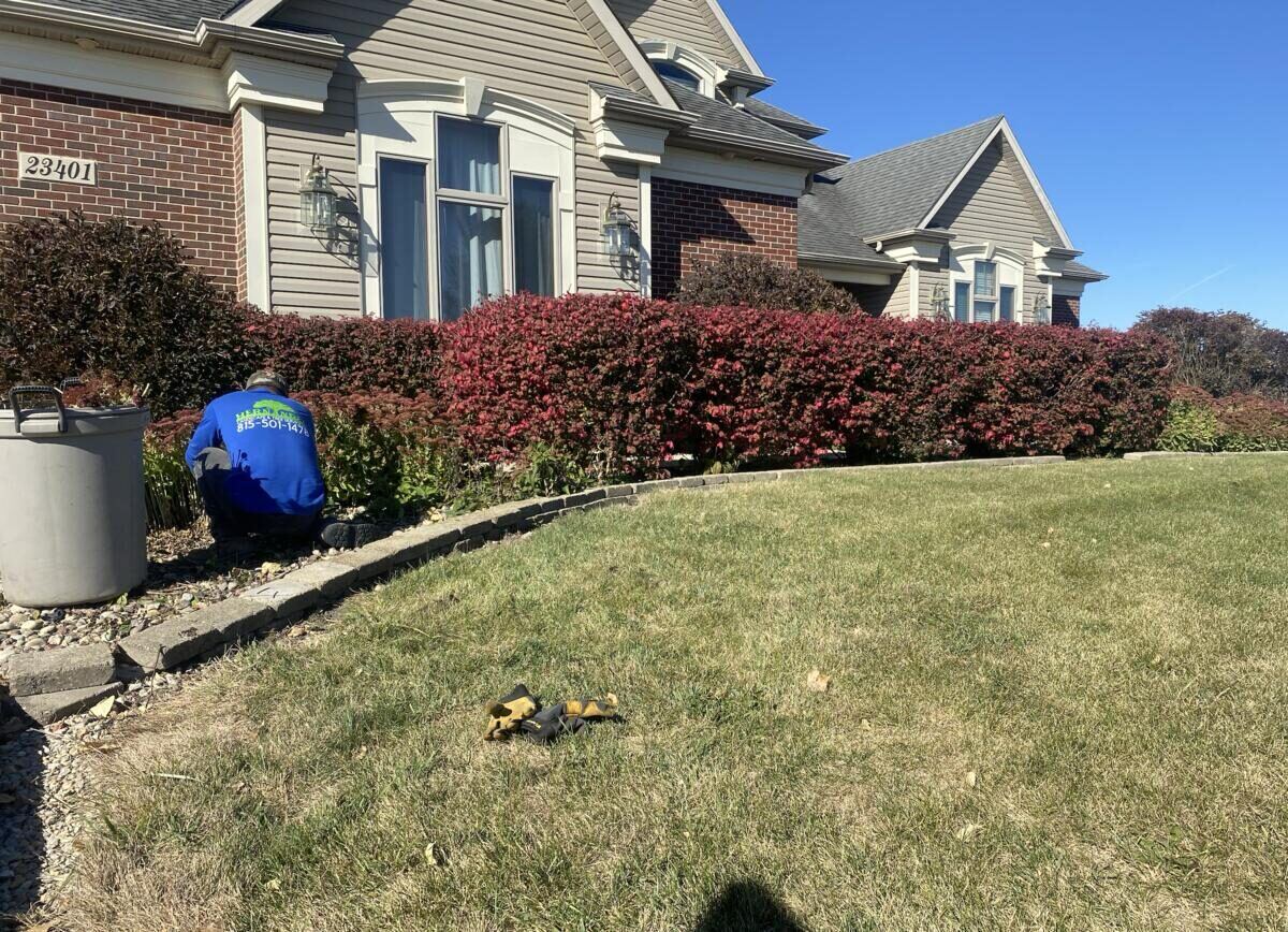 Finished yard landscaping project